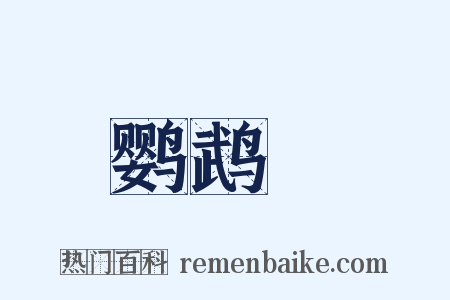 鹦鹉緑是什么意思的图片